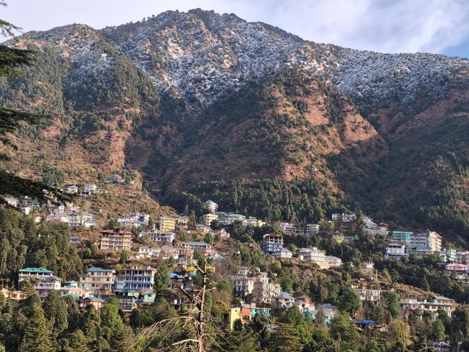 Cloudchat Dharamshala Exterior photo