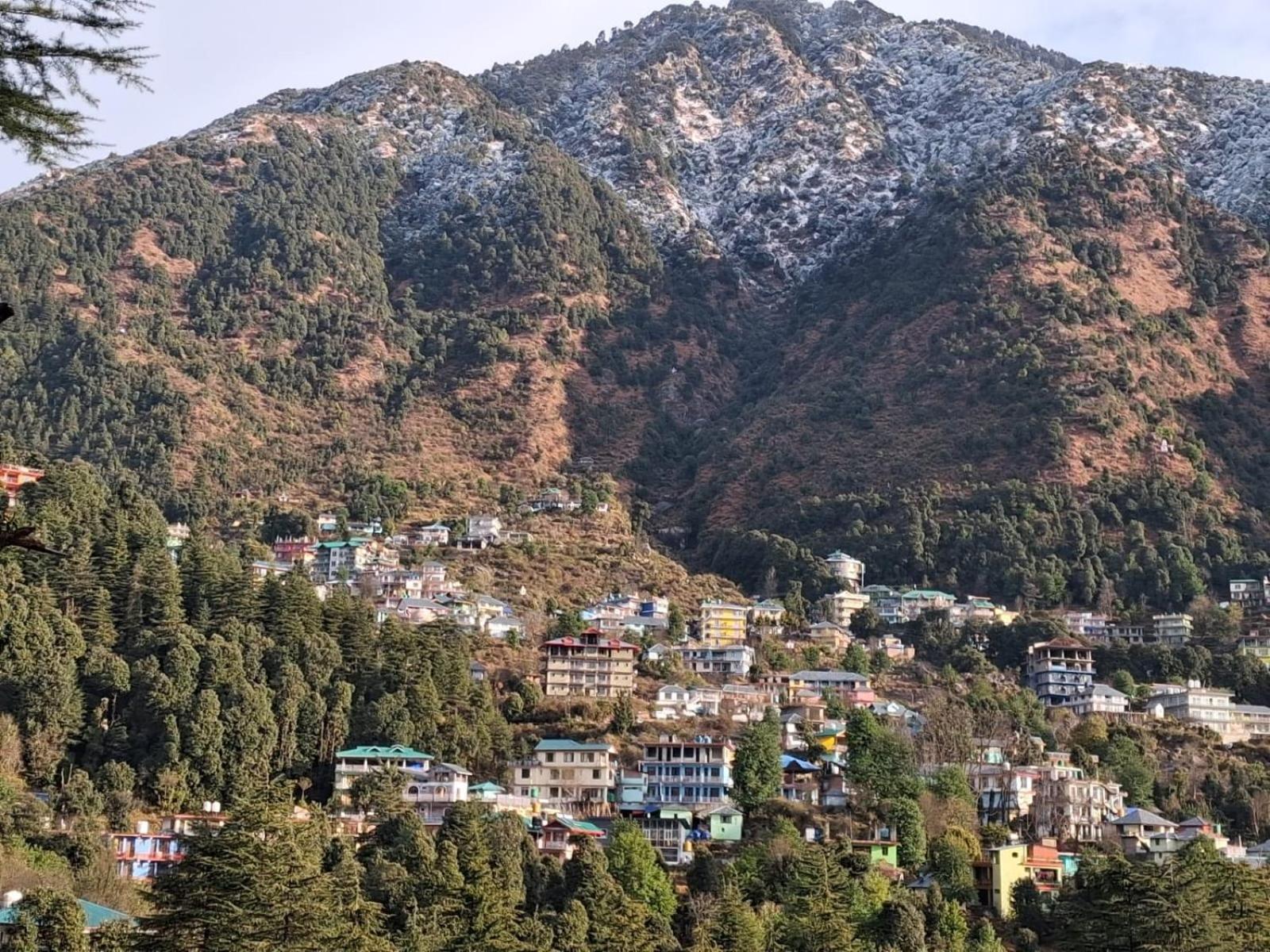 Cloudchat Dharamshala Exterior photo